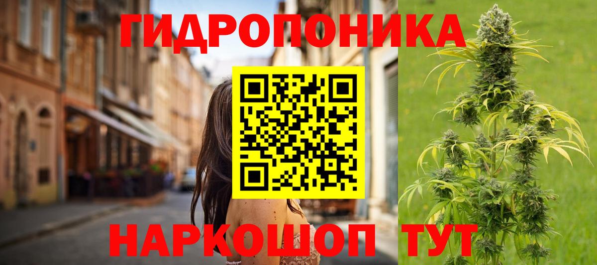 Бошки марихуана индика  Шишки марихуана планчик  Бошки марихуана Ganja  Вход с VPN  Шишки марихуана тримм  Балашов 